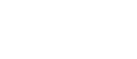 卓远&middot;能量砖